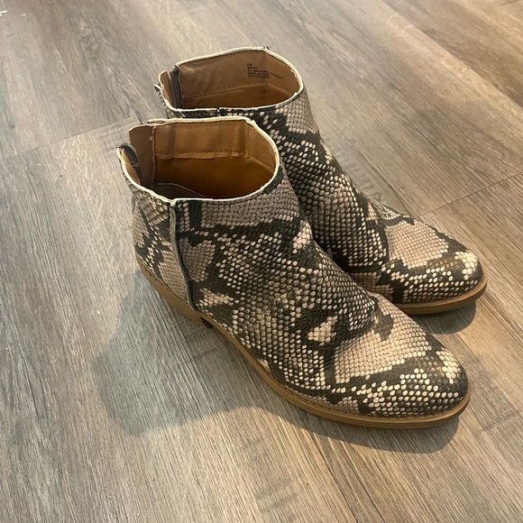 Dolcetta Snake Skin Boots Size 8 - Picture 4 of 5